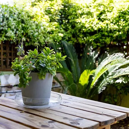 Apartment The Garden House At Alimos Athens